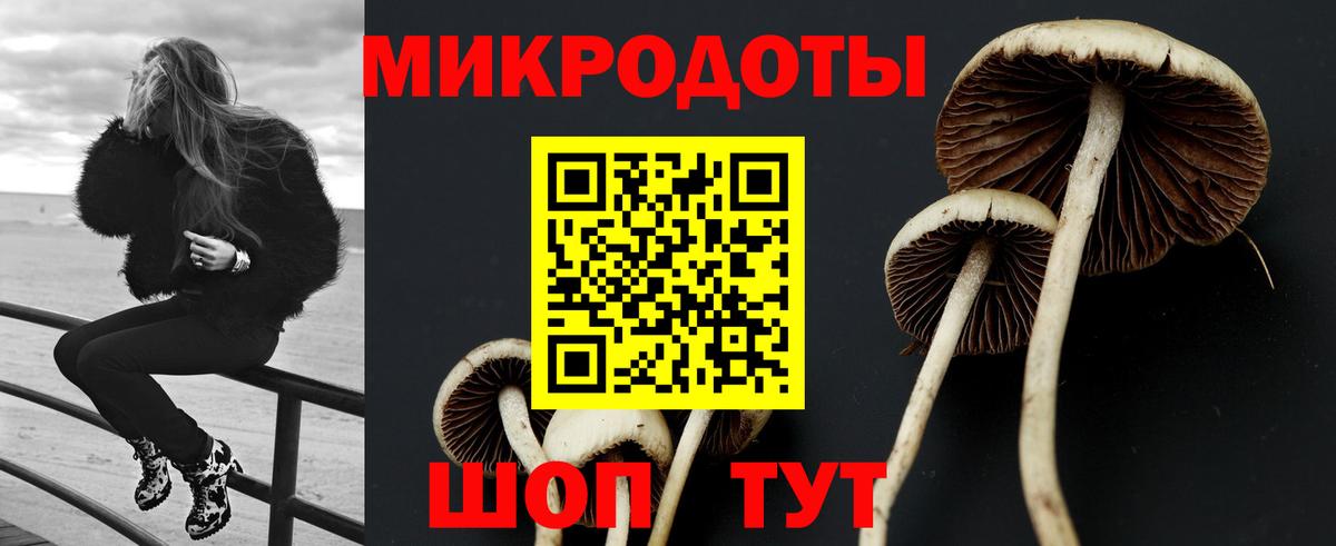 Назарово  Галлюциногенные грибы прущие грибы  Вход с VPN 